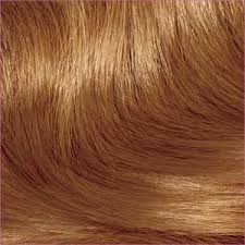 Clairol Light Ash Brown 62 Medium Ash Brown Hair Color
