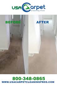 usa carpet cleaning pros