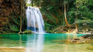 beautiful waterfall forest turquoise