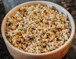 how to sprout buckwheat pure living
