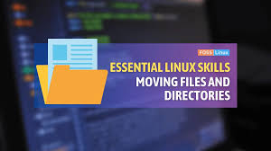 moving files and directories in linux