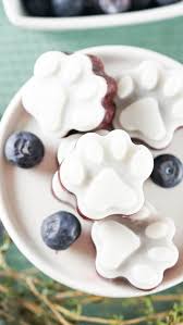 blueberry frozen dog treats recipe