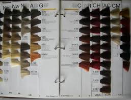 Olivia Tattoo Hair Color Swatch Book