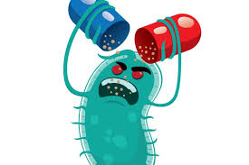 Resultado de imagen de resistencia bacteriana a los antibiÃ³ticos Daniel LÃ³pez Serrano