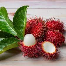 Apa Saja Kandungan Gizi dan Manfaat Buah Rambutan?