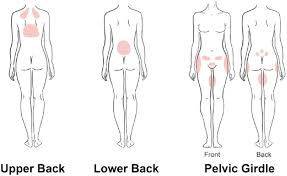 pelvic girdle pain during pregnancy