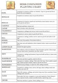 Herb Companion Planting Chart Herbal Gardens 15550890 By