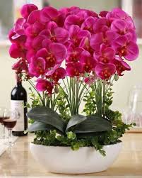Viver Orchid Flower Arrangements