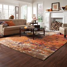 color area rug goes with a brown couch