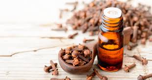 clove oil for toothache plus other