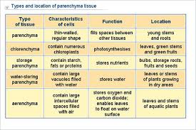 Biology Lower Secondary Ydp Chart Types And Location