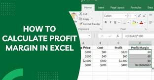 how to calculate profit margin in excel