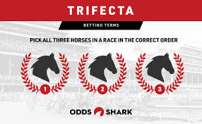 Trifecta Box Betting Odds Explained By Our Horse Racing