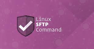 use sftp command to transfer files