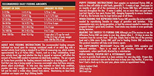 Purina One Smartblend Chicken Rice Formula Dry Dog Food 1 16 5 Lb Bag