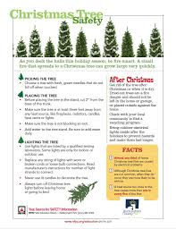 Tree Safety News Story