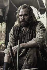 Pin by Louise on Game of Thrones | Rory mccann, A song of ice and fire,  Hound