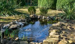 Foto De Beautiful Small Garden Pond