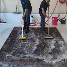 rug cleaning hobart the hobart carpet