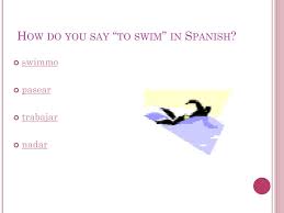 ppt spanish quiz powerpoint