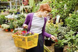 how to choose healthy plants at the nursery