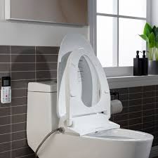 One Piece Toilet With Smart Bidet Seat