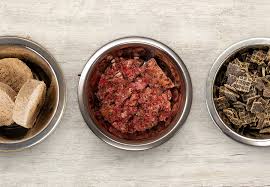Although the expense of purchasing these 'prescription diet' foods can be greater than the regular canned food or dry kibble you are used to feeding your dog, vets argue that they are genuinely effective in the fight against kidney disease. Raw Dog Food For Beginners Everything You Need To Feed Your Dog Raw