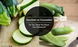 Does zucchini and cucumber taste the same?