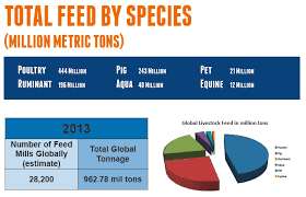 Poultry Feed Rules The Roost For Global Feed Tonnage