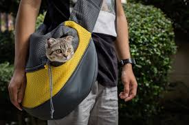 10 best soft sided cat carriers in 2023