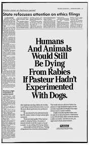 Argumentative essay animal testing Free Essays