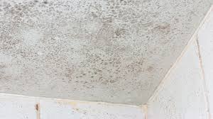 Mould From Your Ensuite Ceiling
