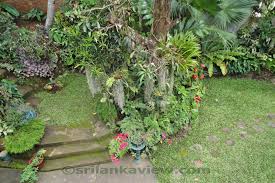 kandyan home garden in sri lanka