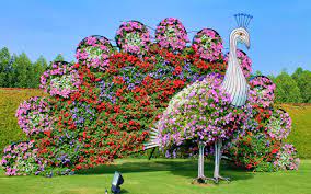 entry tickets to dubai miracle garden