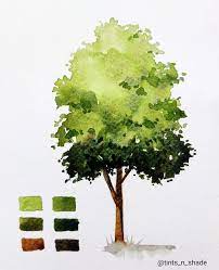 Watercolor Tree Painting Watercolor