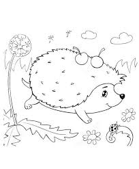 Coloring pages for hedgehog are available below. Hedgehog Coloring Pages For Children 100 Images Print Them Online