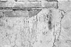 Old Brick Wall Ed Concrete Black