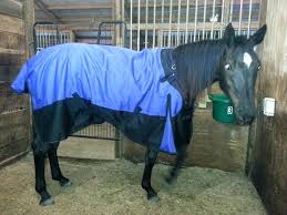 Tough One Horse Blankets Worldofseeds Co