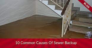 Sewer Backup Causes In Mississauga