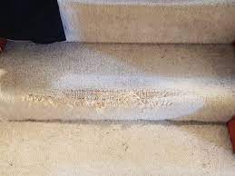 cat proof carpet for the stairs