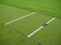 astro turf at rs 115 square feet