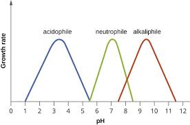 The Effects Of Ph On Microbial Growth Microbiology