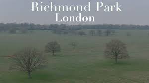 richmond park london where to fly a