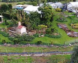 1 Acre Permaculture Farm In Australia