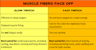 Slow Twitch Vs Fast Twitch Which Camp Do You Belong To