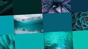 Teal Color Everything You Need To Know