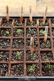 When To Plant Herbs From Seed Inside