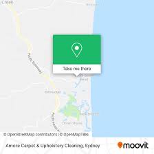 amore carpet upholstery cleaning