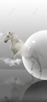 creative white horse mobile wallpaper
