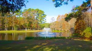 brookgreen gardens in murrells inlet